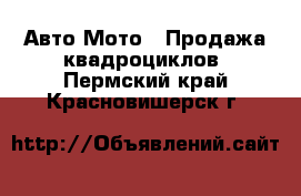 Авто Мото - Продажа квадроциклов. Пермский край,Красновишерск г.